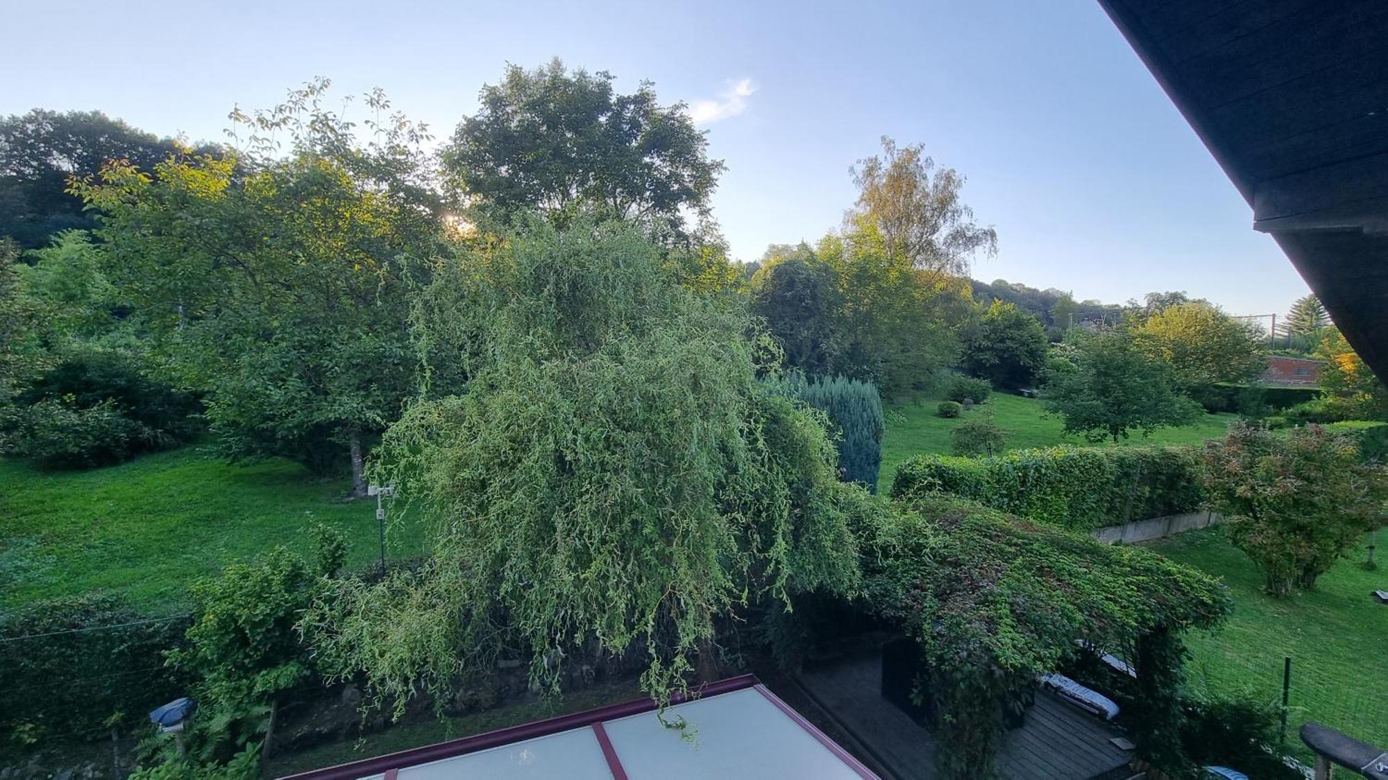 L Orchidee Villa Dinant Dış mekan fotoğraf